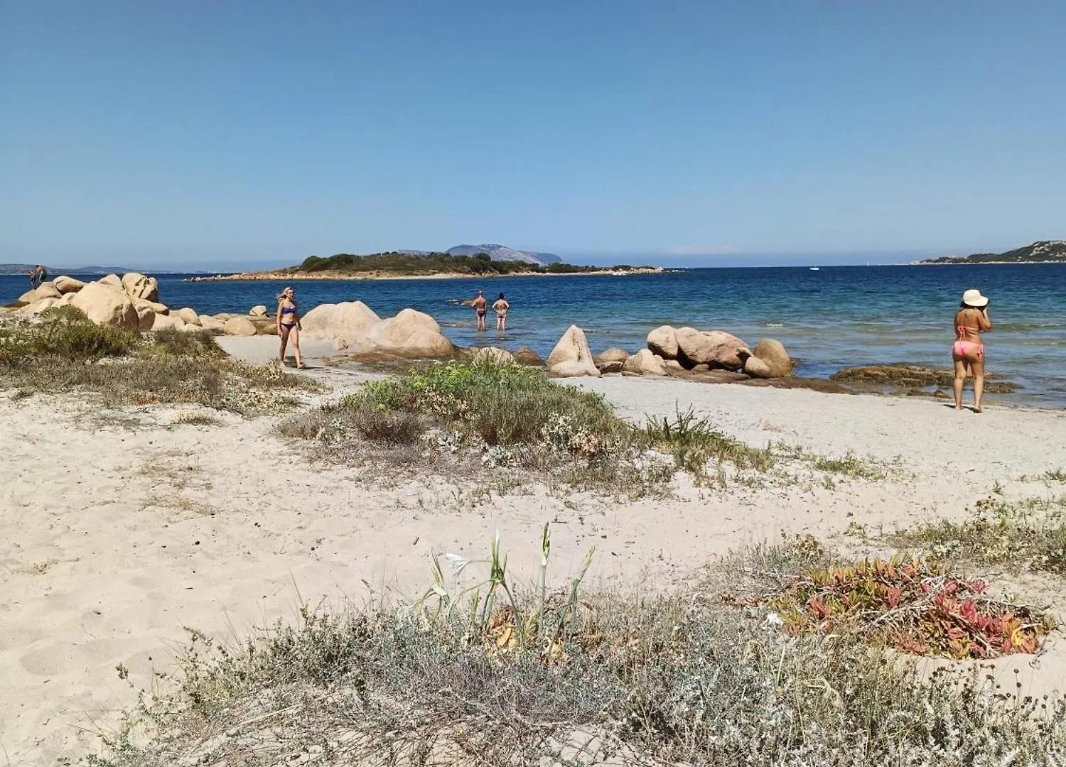 Appartamento Veronese Olbia 0*,