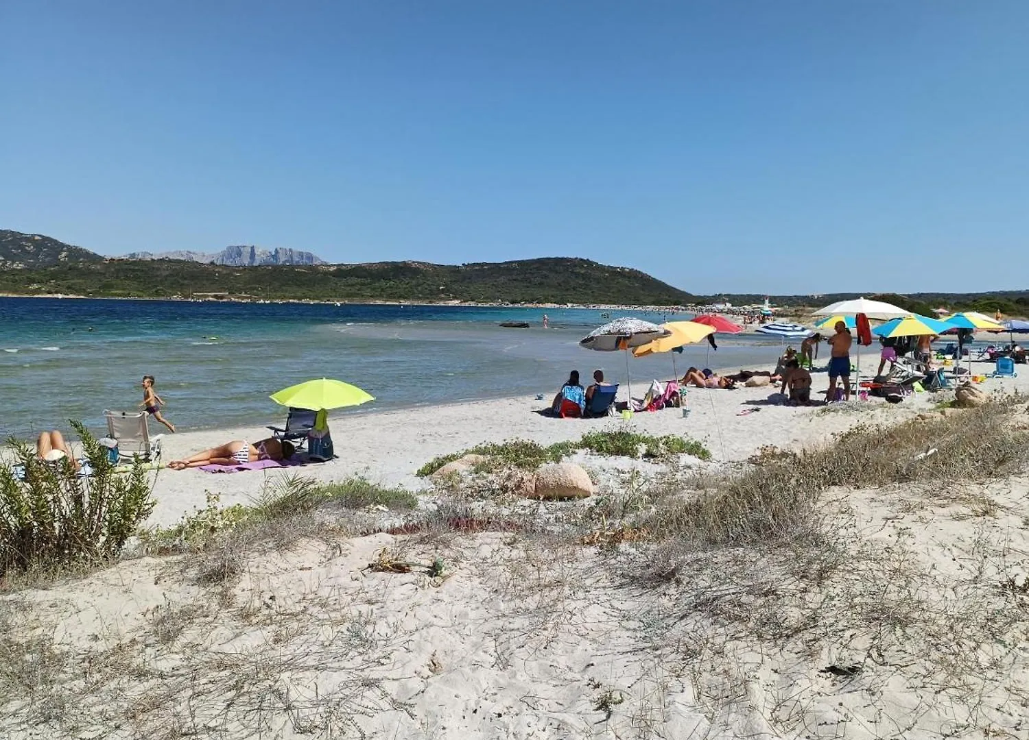 Appartamento Veronese Olbia Apartament
